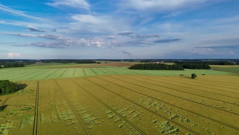 Goldene-Weizenfelder-Unter-Einem-Blauen-Himmel-Mit-Wolken-Im-Dorf-Dagny,-Frankreich,-Von-Oben-Aufgenommen