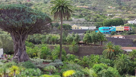 Two-men-in-sunglasses-standing-next-to-two-columns-of-a-summer-house-in-Tenerife,-Spain,-with-a-view-on-El-Drago-Milenario,-the-oldest-specimen-of-the-Dragon-tree,-dracaena-draco,-zooming-4K-shot