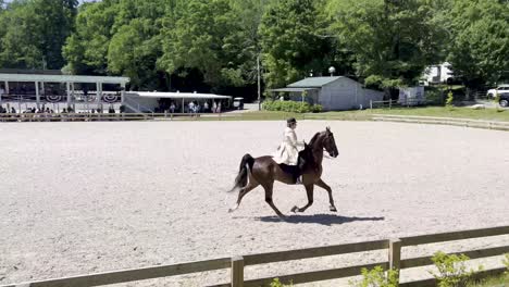 Horses-run-at-the-Blowing-Rock-NC,-North-Carolina-Horse-Show