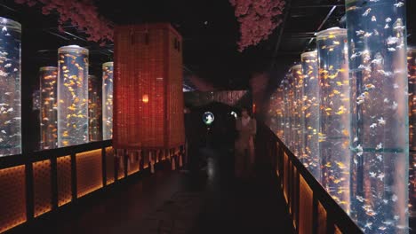 Amazing-hallway-with-tanks-full-of-colorful-goldfish-in-Japan