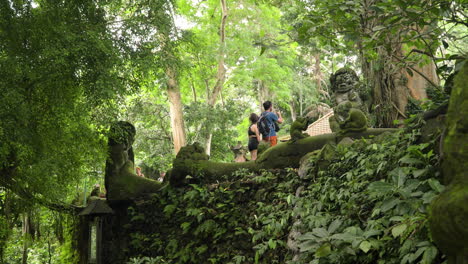 Tourists-taking-photos-in-Ubud-Monkey-Forest,-tilt-looking-up-into-tree-canopy