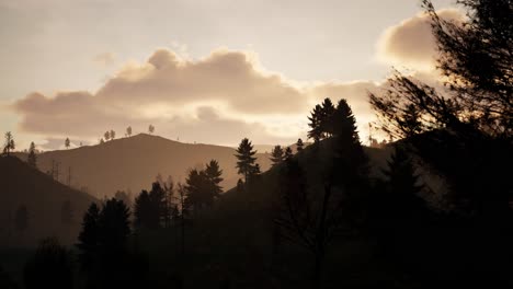 Kiefernwald-Mit-Nebel-Und-Bergen-Im-Hintergrund,-Sonnenuntergang,-3D-Animation,-Animierte-Szene,-Kamera-Zoomt-Langsam-Heran