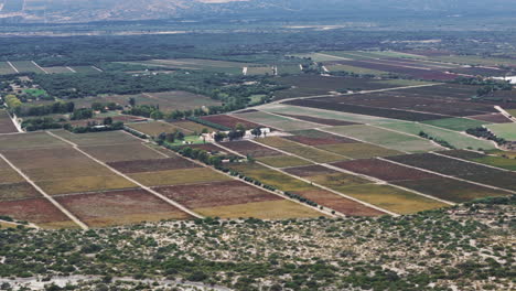 Aerial-drone-shot-of-Torrontés-Riojano-vineyard-farms-in-cafayate-salta-of-Argentina-in-south-america