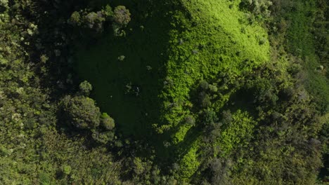 aerial-birdseye-view-of-a-bright-green-foliage-covered-knife-edge-ridge-on-the-island-of-Maui-in-the-state-of-Hawaii