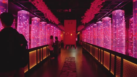 Vibrant-Light-changes-as-goldfish-tanks-illuminate-hallway