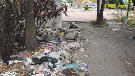 Trash-and-debris-littered-around-trees-and-bushes-in-an-urban-area-in-Cartagena,-Colombia