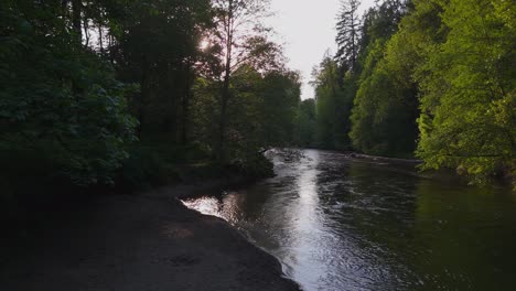 Beautiful-scenic-shot-gliding-over-calm-flowing-Salmon-Cedar-River-in-Evergreen-forest-in-Washington-State