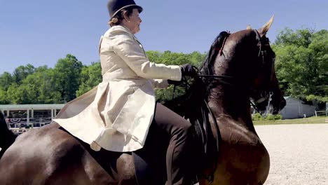 Horse-runs-at-blowing-rock-horse-show-in-blowing-rock-nc,-north-carolina