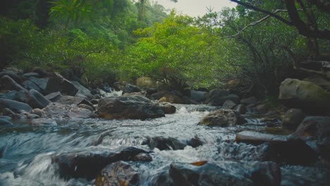 A-tranquil-stream-flows-through-lush-greenery-in-Khao-Sok-National-Park,-Thailand