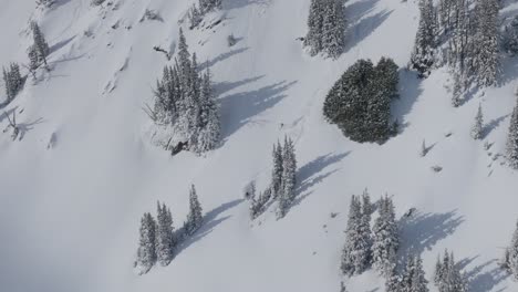 Sanfte-Drohnenaufnahme-Von-Zwei-Skifahrern-Auf-Frischem-Pulverschnee,-Drohnenaufnahme,-4k,-Winter,-Skifahren,-Spaß