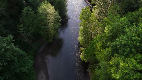 Scenic-aerial-descending-shot-of-Salmon-Cedar-River-in-lush-green-forest-in-Washington-State