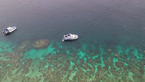 Vista-Aérea-De-Barcos-Y-Personas-Haciendo-Snorkel-En-La-Gran-Barrera-De-Coral,-Queensland,-Australia