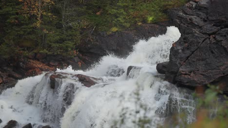 Ein-Wasserfall-Stürzt-über-Die-Dunklen,-Verdorrten-Steine-Im-Dunklen-Wald