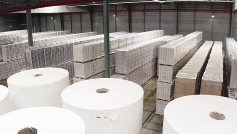 Circular-paper-rolls-kept-idle-at-storage-warehouse-of-paper-manufacturing-factory-of-France