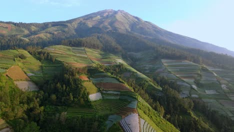 Drone-view-of-agricultural-field-located-on-the-slope-of-mountain