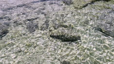 Clean-blue-flag-beaches-of-Halkidiki-Peninsula,-Greece