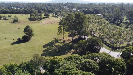 Aerial-view-of-a-green-park-and-a-horse-training-park-in-Australia