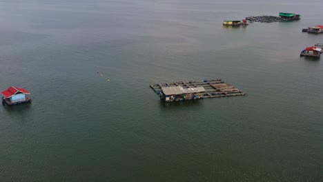 Thriving-traditional-offshore-fish-farms,-with-floating-cages-and-nets-teeming-with-marine-life,-connected-by-wooden-walkways-in-the-brackish-waters,-aerial-flyover