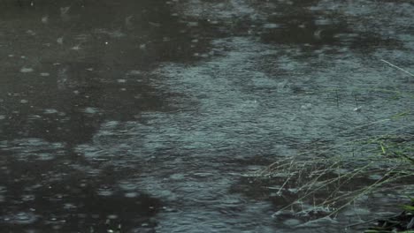 Flooded-Driveway-in-Heavy-Rain-Thunderstorm-With-Lightning-Australia-Victoria-Gippsland-Maffra