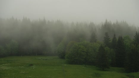 Dichte-Wolken-Ziehen-An-Einem-Regnerischen,-Grauen-Tag-Durch-Den-Grünen-Wald