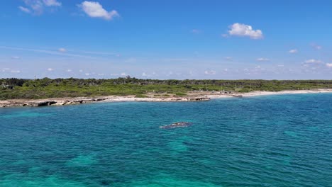 Drone-View-Over-An-Isolated-Beach-With-Crystal-Clear-Water-And-A-Forest-In-The-Background-In-Puglia-Region,-Italy