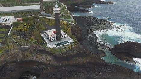 Felsenküste-Und-Leuchtturm-An-Der-Spitze:-Die-Palme-In-Ihrer-Pracht