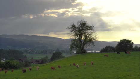 Sonnenuntergang-In-Der-Schweiz