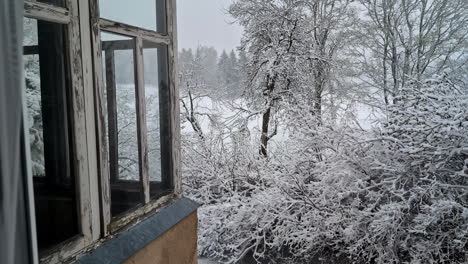 Snow-covered-trees-and-landscape-through-window-of-old-home,-dolly-forward-view