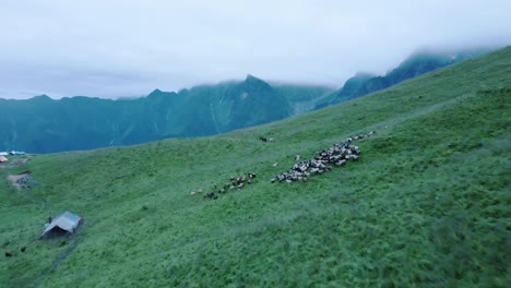 Luftaufnahme-Eines-Grünen-Berghügels-Während-Der-Monsunzeit-In-Kori,-Nepal