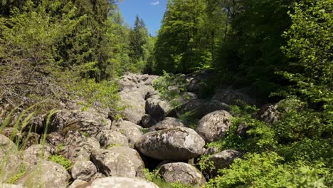 Aufnahmen-Einer-Steinpiste,-Umgeben-Von-üppigem-Grünen-Wald,-An-Einem-Sonnigen-Tag