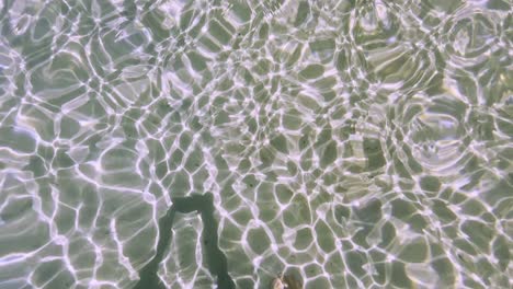 Clean-blue-flag-beaches-of-Halkidiki-Peninsula,-Greece