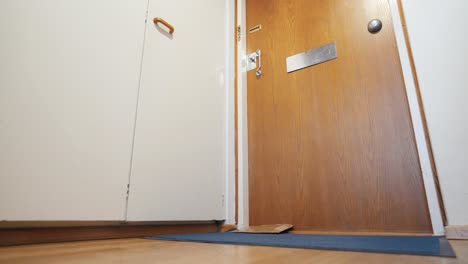 Small-parcel-dropped-through-a-mail-slot-in-the-door-and-landing-on-the-floor