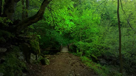 Zeitlupenaufnahme-Einer-Kleinen-Holzbrücke-Auf-Einem-Feldweg-In-Einem-Zauberhaften-Grünen-Wald