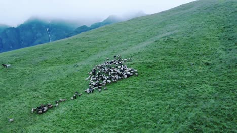 Vista-Aérea-De-La-Colina-Verde-De-La-Montaña-Durante-La-Temporada-De-Monzones-En-Kori,-Nepal