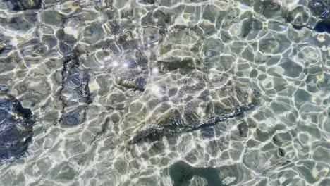 Clean-blue-flag-beaches-of-Halkidiki-Peninsula,-Greece