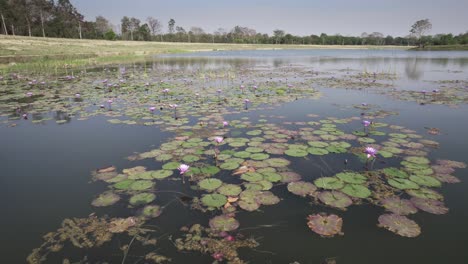 Lumbini-the-birthplace-of-Gautam-Buddha