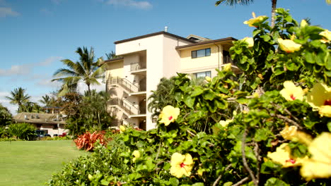 Cambio-De-Enfoque-De-Flores-Tropicales-A-Condominios-De-Lujo