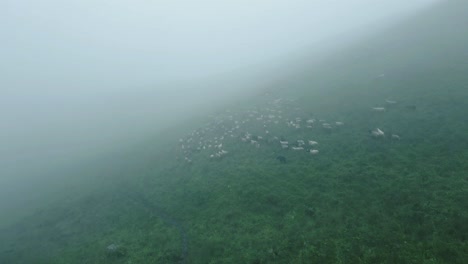 aerial-view-of-greenery-mountain-hill-during-monsoon-season-in-Kori,-Nepal