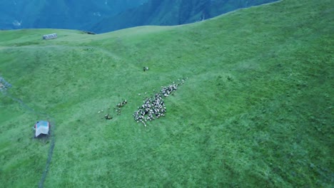 aerial-view-of-greenery-mountain-hill-during-Monsoon-season-in-Kori,-Nepal