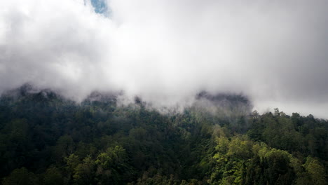 Dichtes-Waldgebiet,-Wolkendecke-Bedeckt-Hintergrundlandschaft,-Luftaufnahme