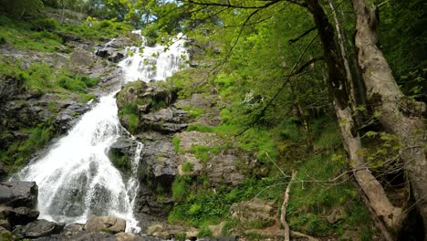 View-of-Todtnau-Waterfalls:-Water-Flowing-Over-Rocks-with-Trees-in-Foreground