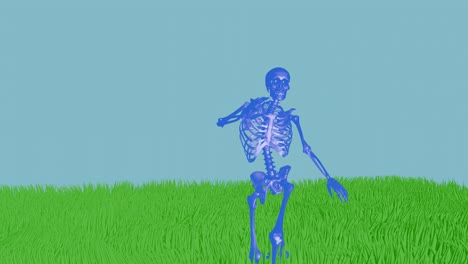 Skeleton-samba-dance-in-grass-