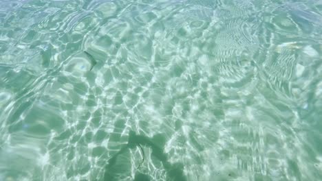 Clean-blue-flag-beaches-of-Halkidiki-Peninsula,-Greece