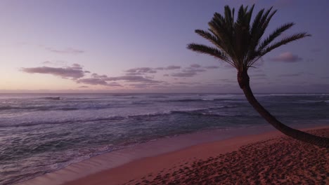 Ein-Atemberaubender-Blick-Auf-Den-Sonnenuntergang-Von-Der-Nordküste-Von-Oahu,-Hawaii,-Mit-Einer-Sanft-Geneigten-Palme,-Ruhigen-Wellen-Und-Einem-Himmel-In-Wunderschönen-Rosa--Und-Lilatönen