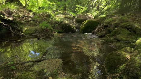 Fluss-Fließt-Durch-Einen-üppigen,-Grünen-Wald,-Im-Frühling-Moosbedeckte-Felsbrocken-Und-Dynamisches-Sonnenlicht