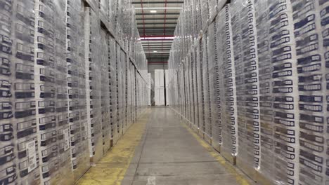 Ready-packaged-toilet-papers-stacked-in-storage-warehouse-factory-of-France