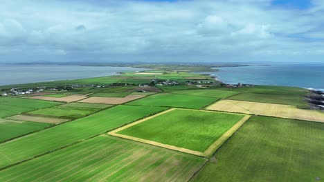 Irlands-Epische-Orte-Drohnen-Landschaft-Mit-Feldern-Auf-Der-Hook-Halbinsel-In-Wexford,-Irland