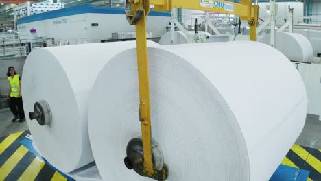 Profile-view-of-giant-reel-of-paper-to-be-used-for-paper-towel-manufacturing-factory-in-France