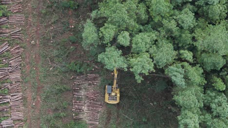 Overhead-view-of-a-tracked-feller-buncher-working-in-an-area-of-trees