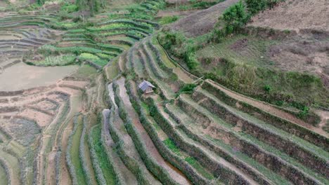 The-video-highlights-the-patterns-of-the-terraces-and-a-solitary-hut